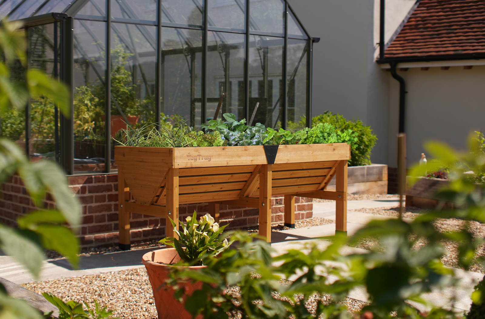 A VegTrug Classic is splashed with sunlight in front of a greenhouse